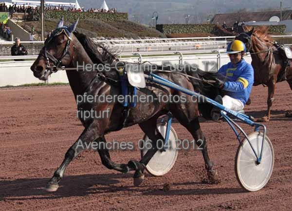 Heros Champ Fuchs T2 prot